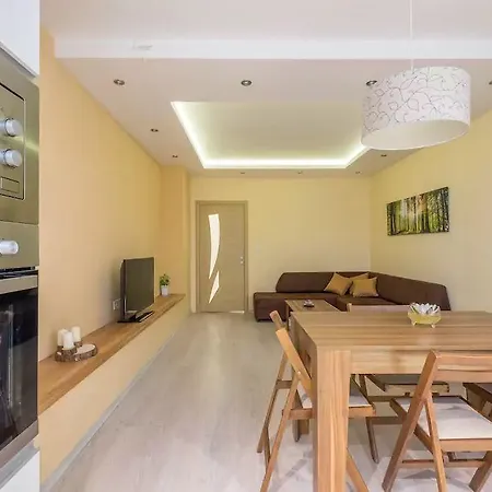 Luxury Apartment